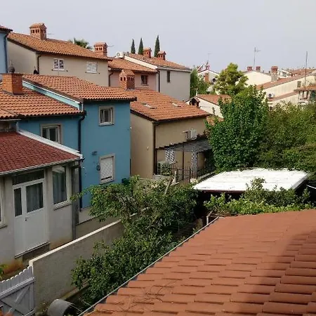 Zp44 * Πούλα