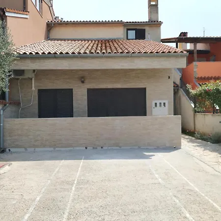 Zp44 *